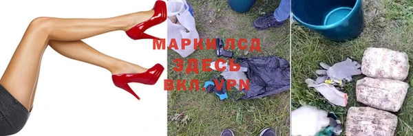 прущие грибы Верхнеуральск