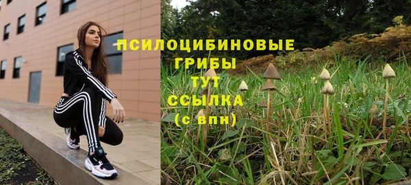 кристаллы Верея