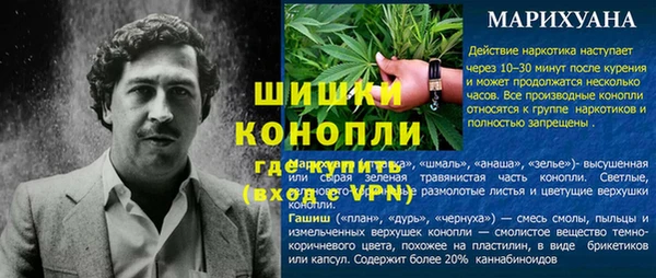 индика Володарск