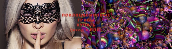 прущие грибы Верхнеуральск